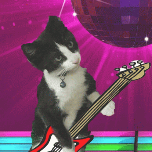 Rock And Roll Cat GIF - Rock And Roll Cat Playing Guitar GIFs