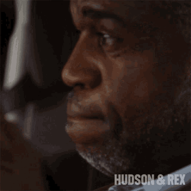 a close up of a man 's face with the words hudson & rex visible