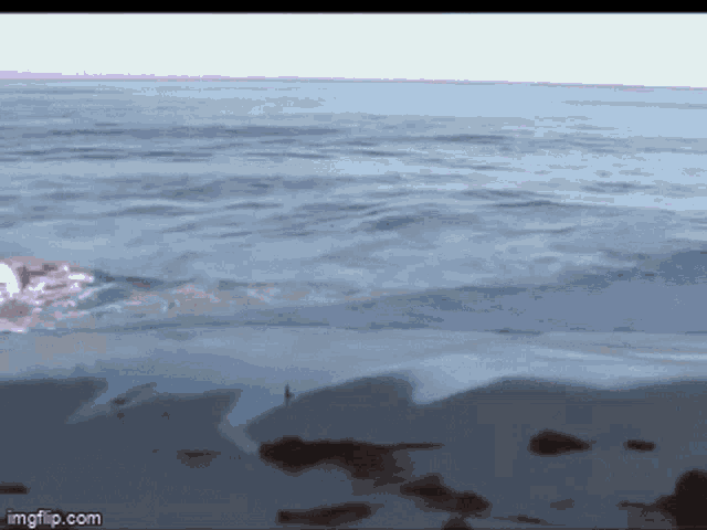 Spiritus Ocean GIF - Spiritus Ocean Rick Roll GIFs