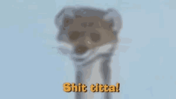 a blurred image of an otter with the words shit titta on the bottom right