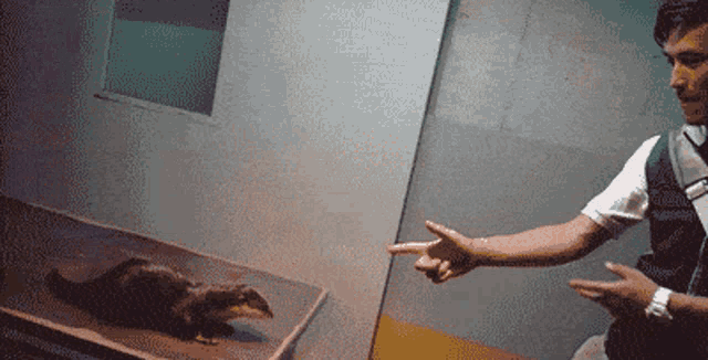 a man pointing at a small animal in a box
