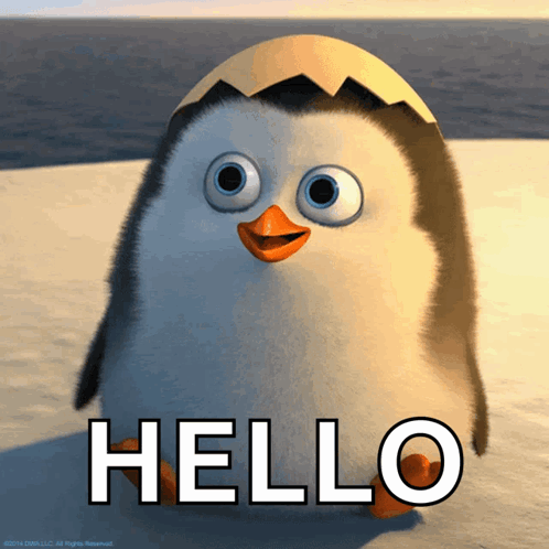 Penguin Hello GIF - Penguin Hello Hi GIFs