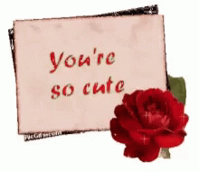 Youre So Cute Rosen GIF - Youre So Cute Rosen Card GIFs
