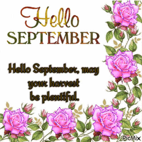 a card that says hello september with pink roses and green leaves