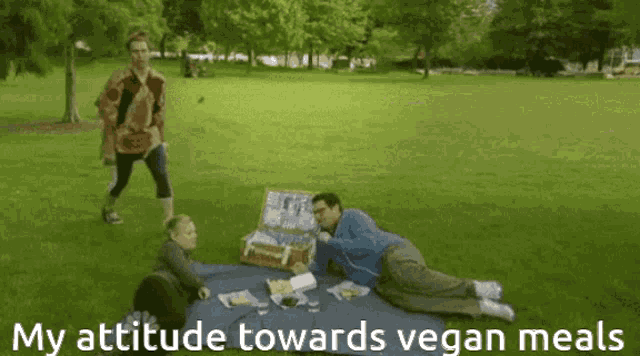 a man laying on a blanket in a park with the words " my attitude towards vegan meals "