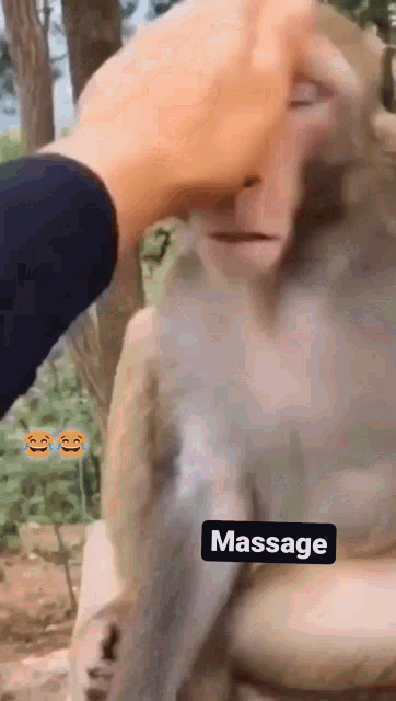 a person petting a monkey with a massage sign