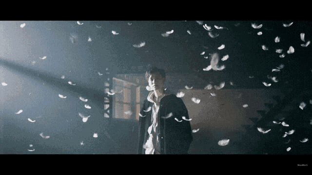 a man standing in a dark room with feathers falling around