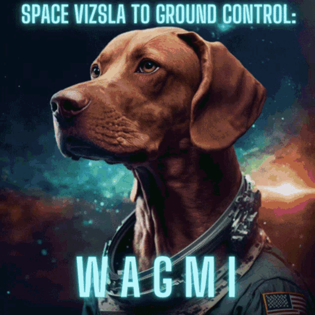 Wagmi Space Vizsla GIF - Wagmi Space Vizsla Vizsla In Space GIFs