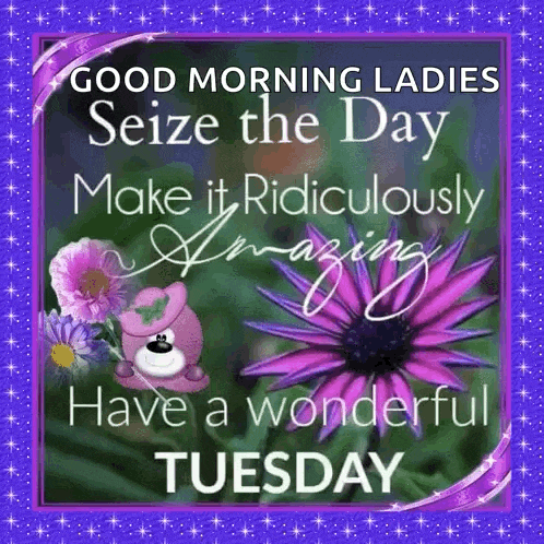 good morning ladies seize the day make it ridiculously amazing have a wonderful tuesday .