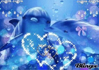 a couple of dolphins are kissing in the water with a heart made of stars