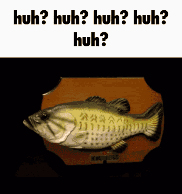 a picture of a fish with the words huh huh huh huh on it