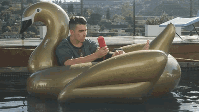 a man is sitting on an inflatable swan in a pool looking at his phone