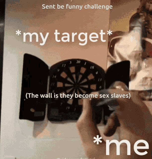 a picture of a dart board with the words sent be funny challenge * my target *