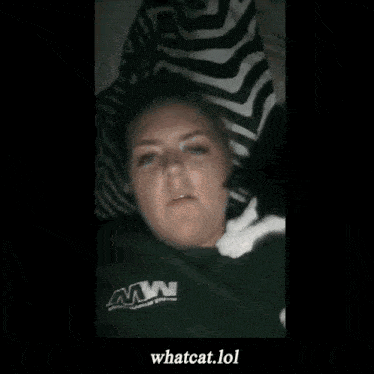 What Whatever GIF - What Whatever Whatcat GIFs