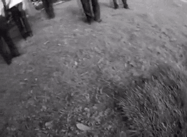 a black and white photo of a group of people walking down a dirt road .