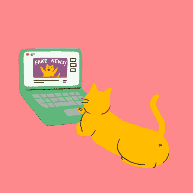 a cat is laying in front of a laptop with a speech bubble saying put misinformation on pause