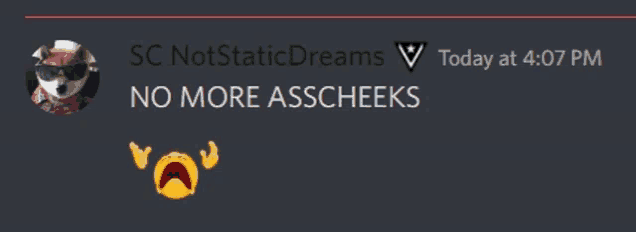 a screenshot of sc notstaticdreams today at 4:07 pm with a picture of a dog