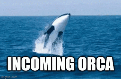 Incoming Orca GIF - Incoming Orca GIFs