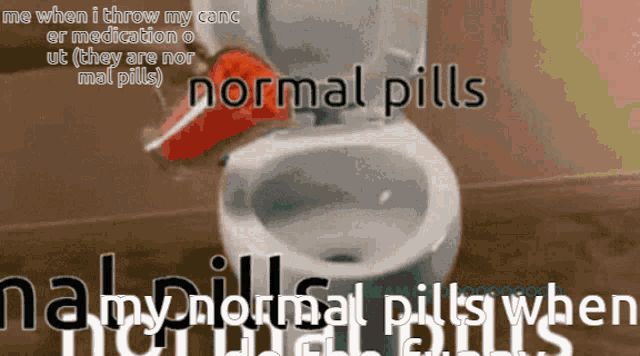 a picture of a toilet that says normal pills