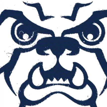 a drawing of a bulldog 's face with a spider behind it