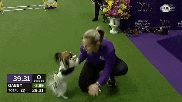 a woman kneeling down next to a dog with a score of 39.31 on the screen