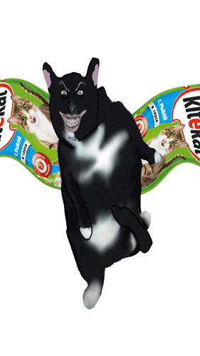 a drawing of a cat with a label that says kitchen