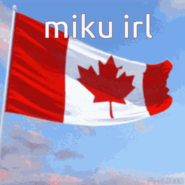 a canadian flag with a maple leaf and the words miku irl