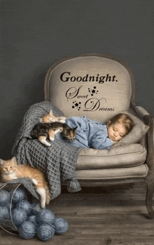a child is sleeping in a chair with kittens and the words goodnight sweet dreams written on the back of the chair