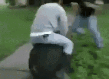 Ride Pig GIF - Ride Pig Rodeo GIFs