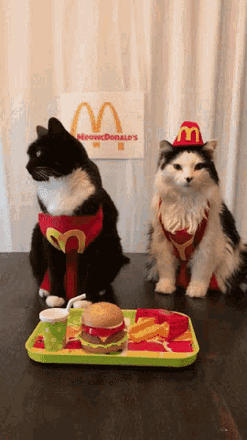 Supper Time GIF - Supper Time Dinner GIFs