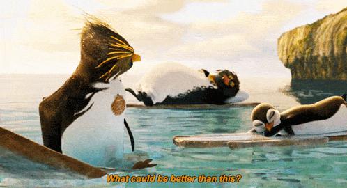a penguin in the water asking what could be better than this