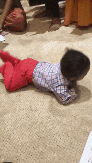 a child in a plaid shirt and red pants crawls on the floor