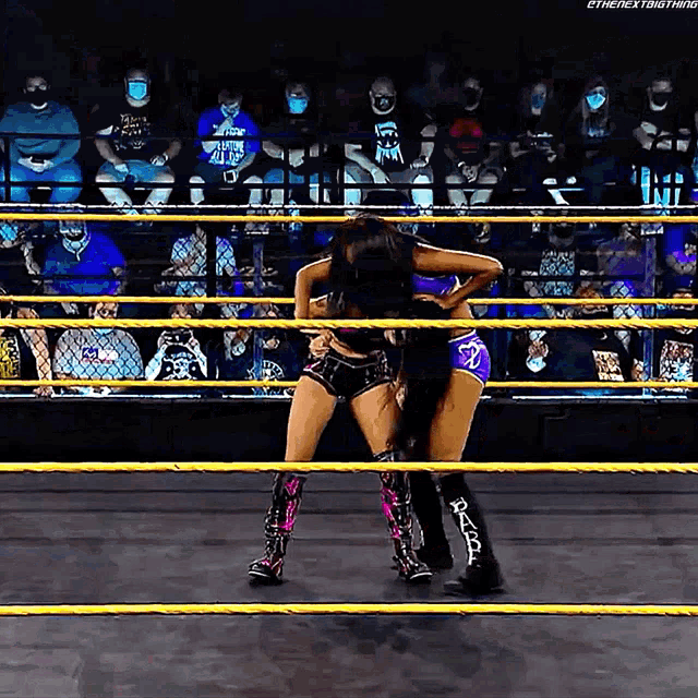 two women are wrestling in a ring with a crowd watching