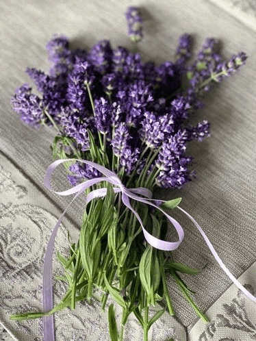 a bouquet of lavender flowers tied with a purple ribbon on a table .