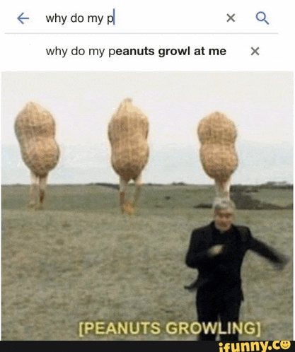 why do my peanuts growl at me peanuts growling funny