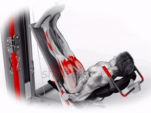 a man is doing leg press exercises on a machine that has the word shutterstock on the bottom