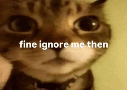 a close up of a cat 's face with the words `` fine ignore me then '' above it .