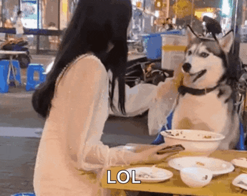 a husky dog is sitting at a table with a woman and a bowl of food .