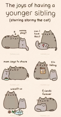 Cats Meme GIF - Cats Meme Younger Siblings GIFs