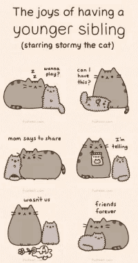 the joys of having a younger sibling starring stormy the cat are illustrated