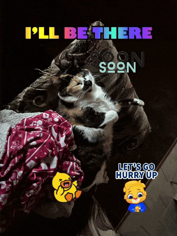 a cat is laying on a couch with the words " i 'll be there soon soon "