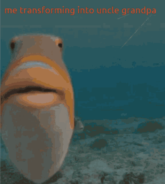 a close up of a man 's face with the words " me transforming into uncle grandpa " above him