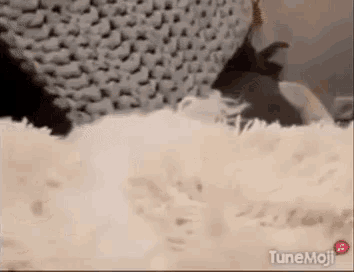 a cat is laying on top of a fluffy white blanket .