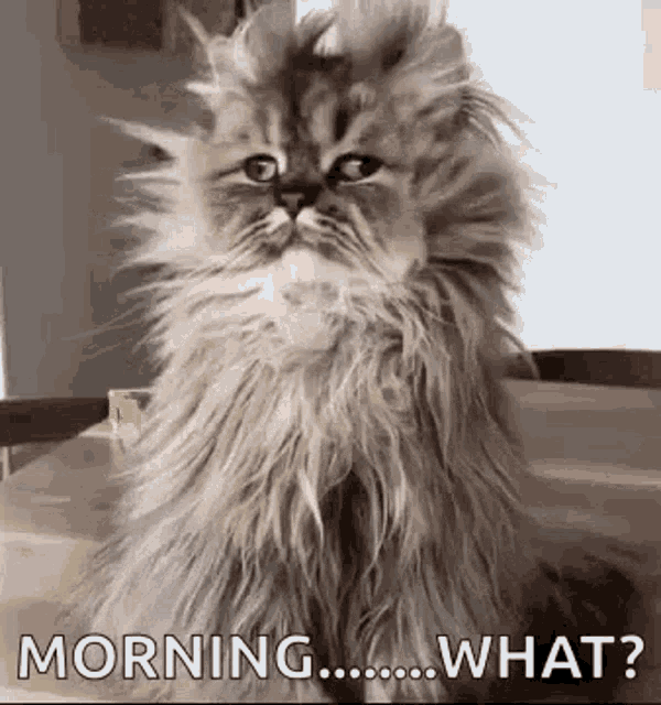 Excited Happy GIF - Excited Happy Morning GIFs