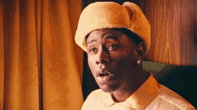 Tyler The Creator Tyler GIF - Tyler The Creator Tyler Are You Dumb GIFs