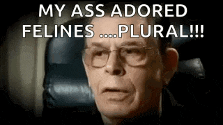 a man wearing glasses is sitting on a plane and says `` my ass adored felines ... plural !!! ''