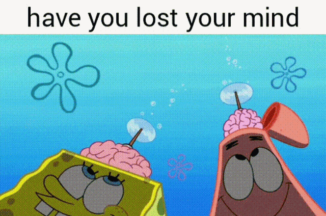 Have You Lost Your Mind GIF - Have You Lost Your Mind GIFs