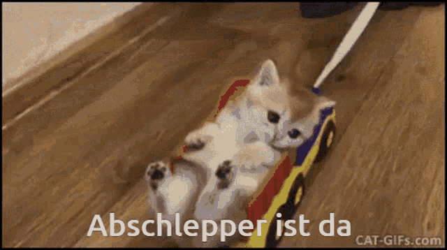 Abschlepper Katze GIF - Abschlepper Katze Kätzchen GIFs