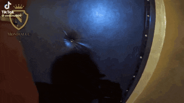 a tik tok video of a shield with a crown on top