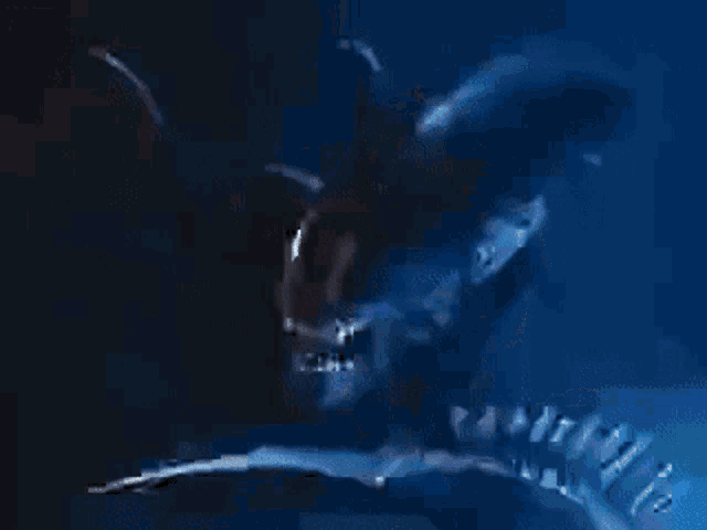 a blurry picture of a skeleton holding a sword against a blue background .